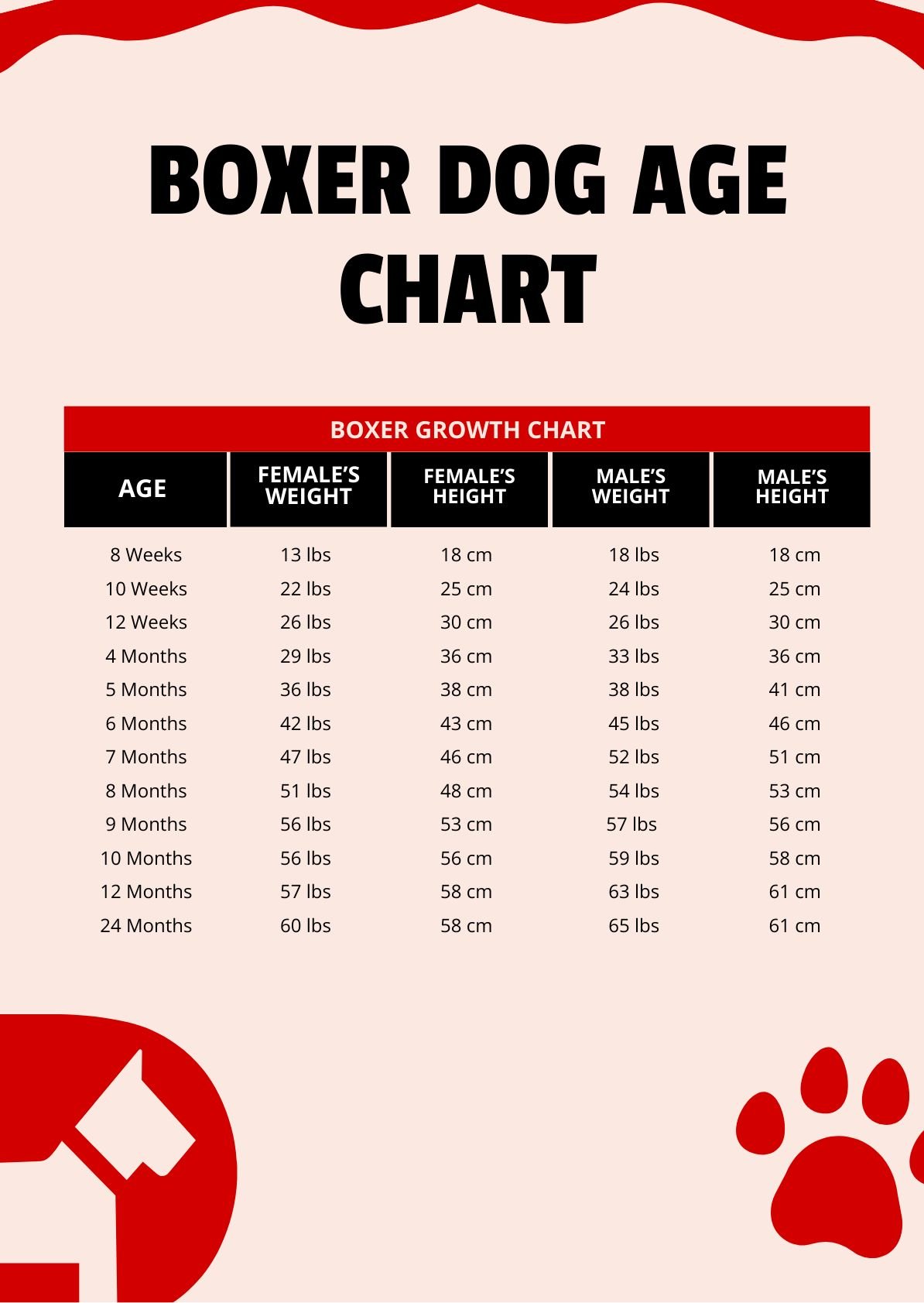 Boxer Dog Age Chart in PDF