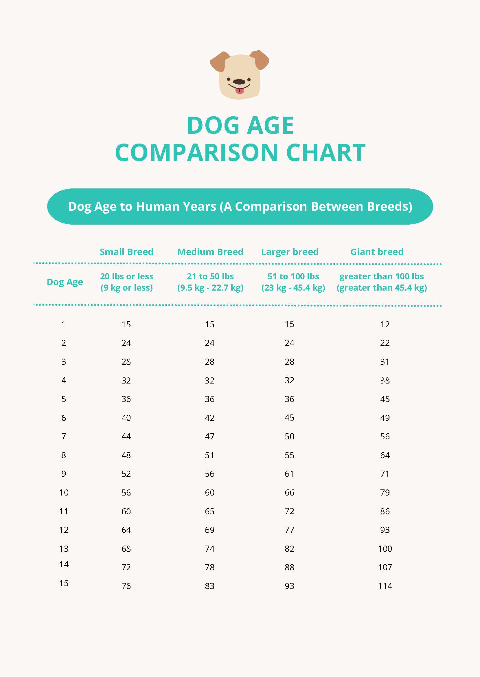 Free Dog Food Age Chart - Download in PDF | Template.net