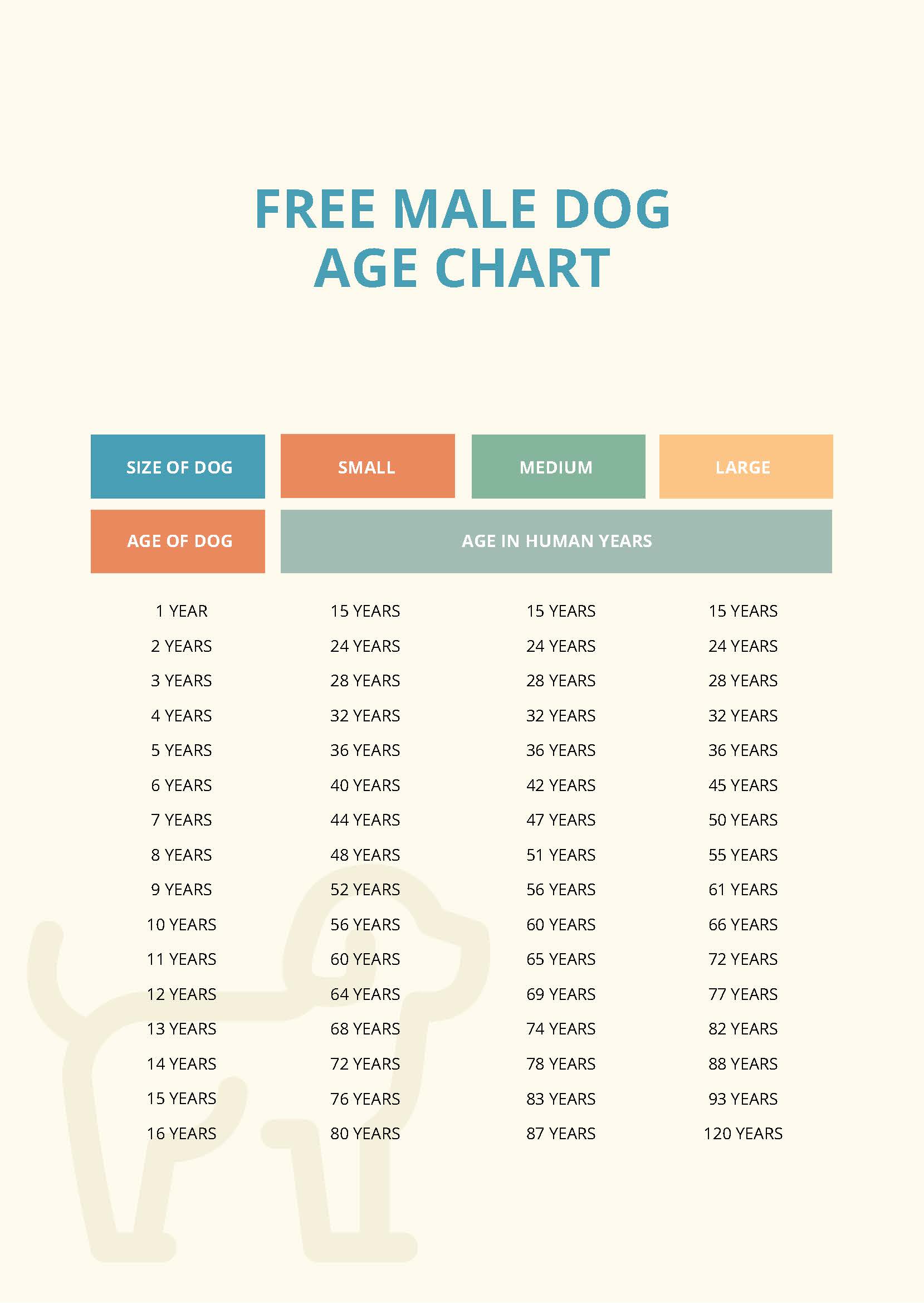 Free Dog Age Chart Human Years - Download in PSD | Template.net