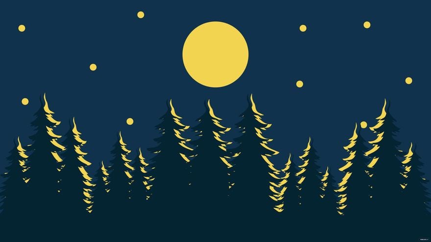 Forest Night Background