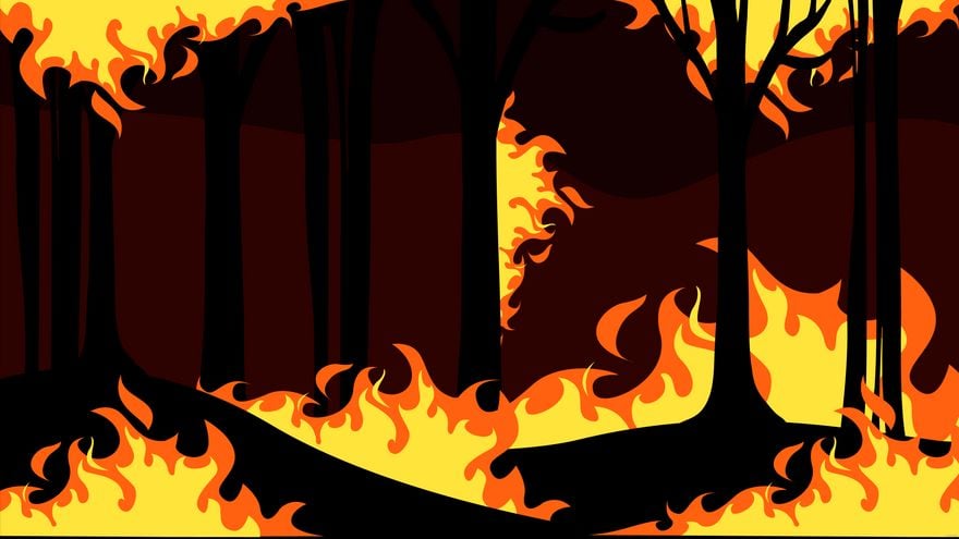 Forest On Fire Background