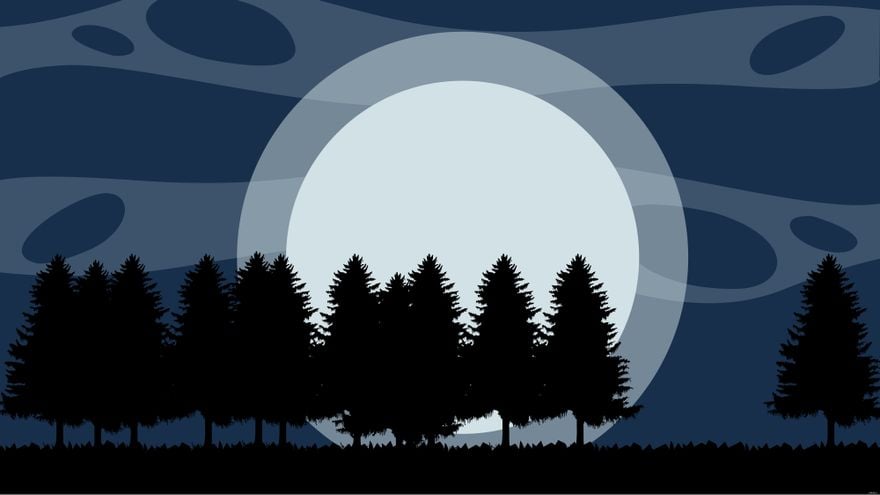 Night Forest Background