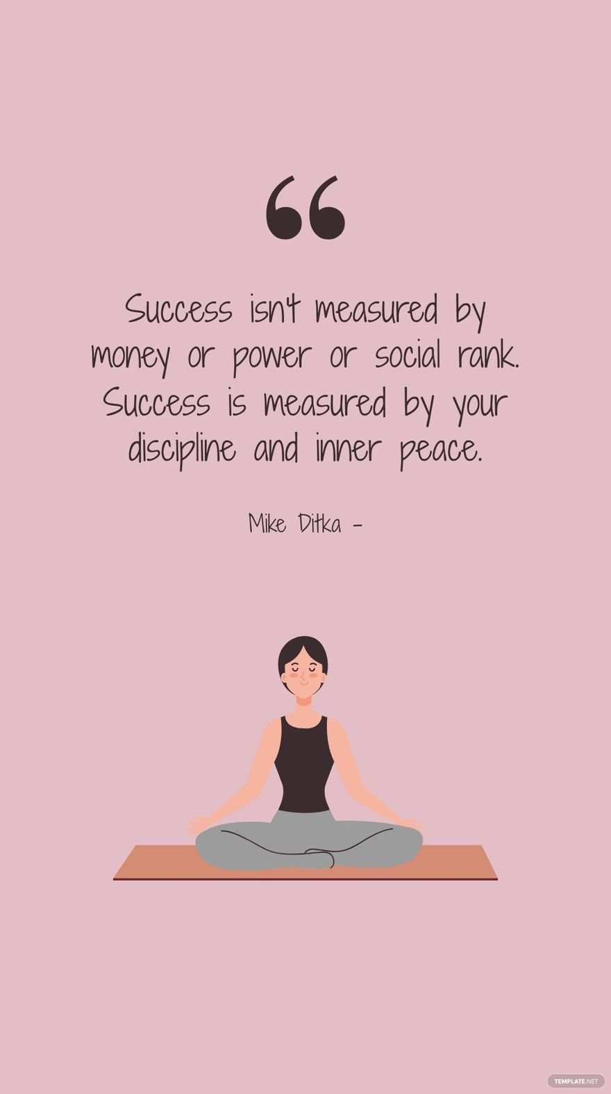 Mike Ditka - Success isn't measured by money or power or social rank. Success is measured by your discipline and inner peace.