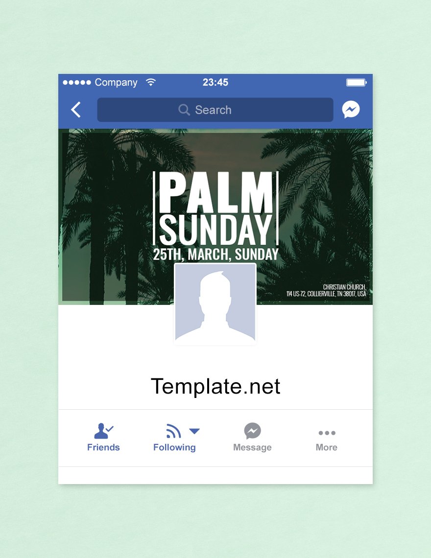 Palm Sunday Facebook App Cover Template