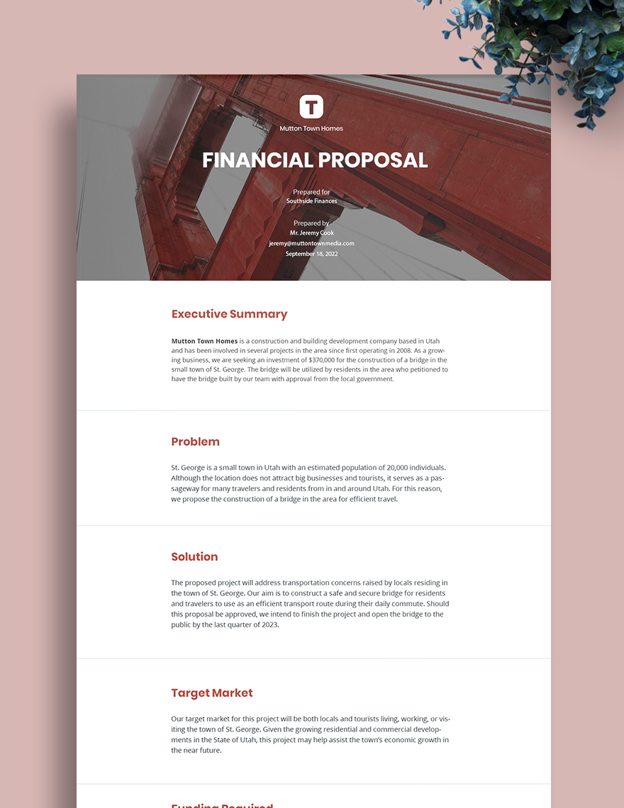 Financial Proposal Template Google Docs Word Apple Pages Template