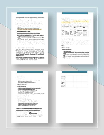 Organizational Change Management Plan Template - Word (DOC ...