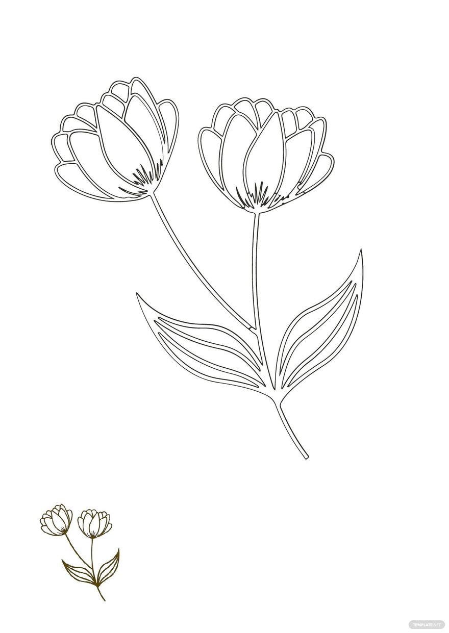 Free Floral Outline Coloring Page in PDF