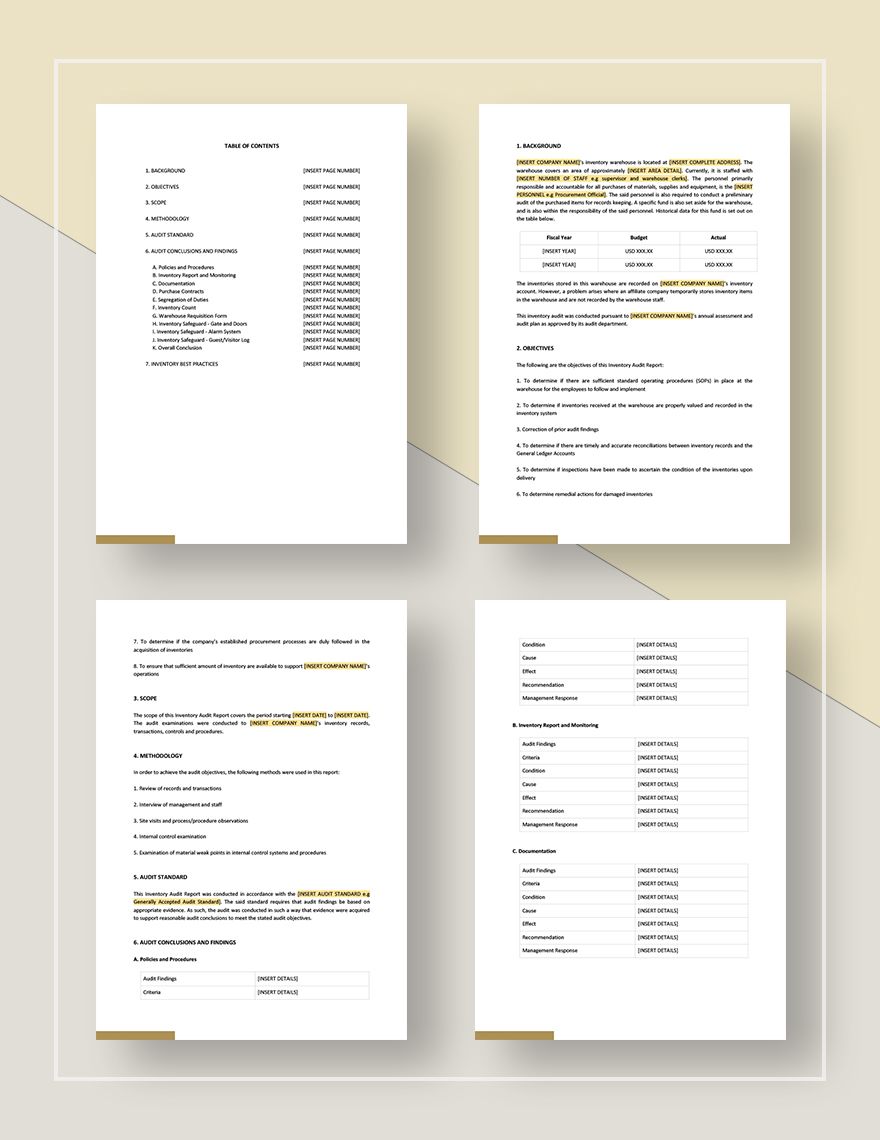 Inventory Audit Report Template