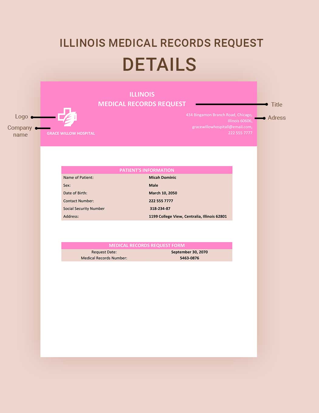 Illinois Medical Records Request Template