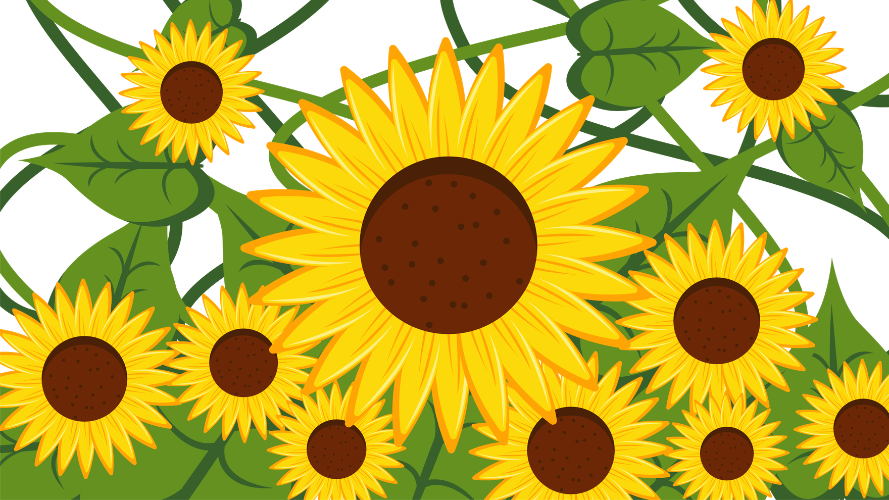 Free Sunflower Transparent Background in Illustrator, EPS, SVG, JPG, PNG