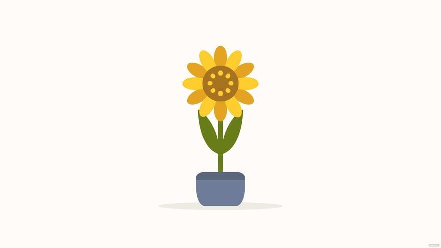 Sunflower with White Background in Illustrator, EPS, SVG, JPG, PNG