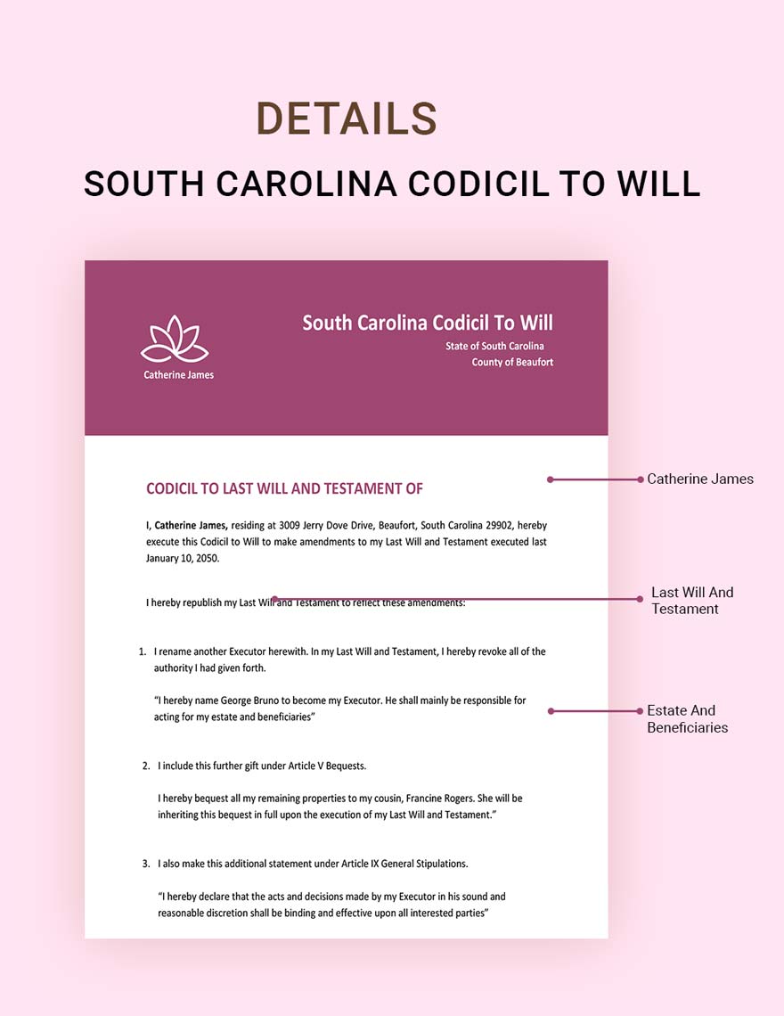 South Carolina Codicil To Will Template