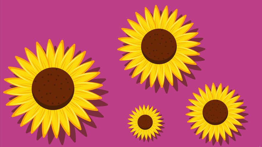 Pretty Sunflower Background in Illustrator, EPS, SVG, JPG, PNG