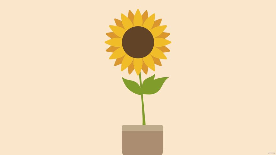 Free Single Sunflower Background