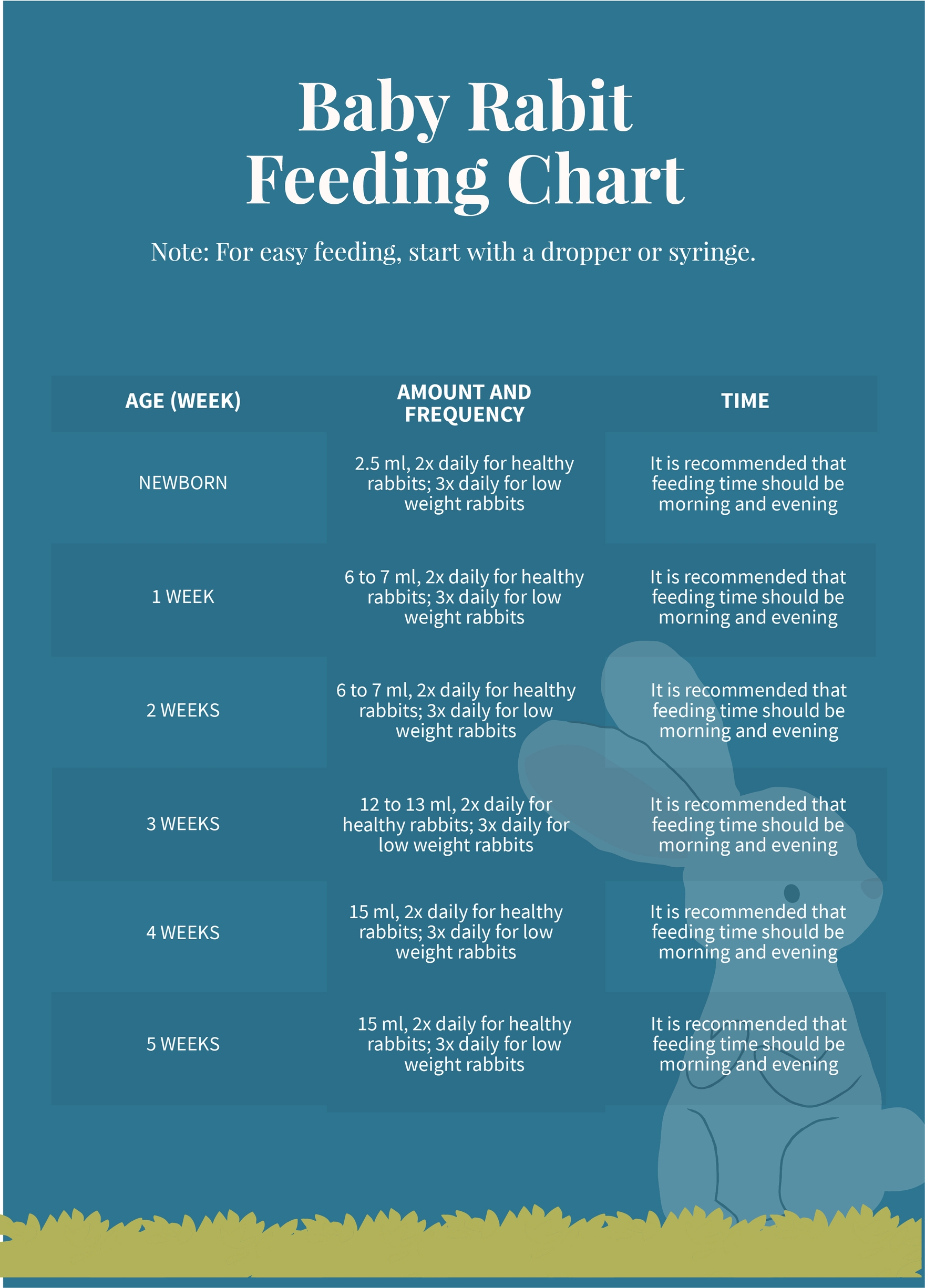 Baby Rabbit Feeding Chart in PDF, Illustrator