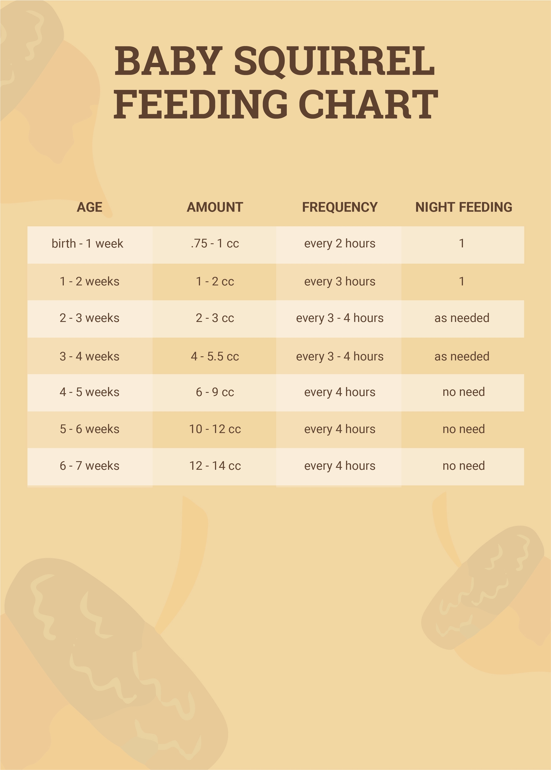 Baby Squirrel Feeding Chart In Illustrator PDF Download Template