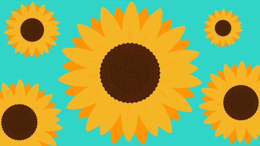 Sunflower Turquoise Background in Illustrator, EPS, SVG, JPG, PNG