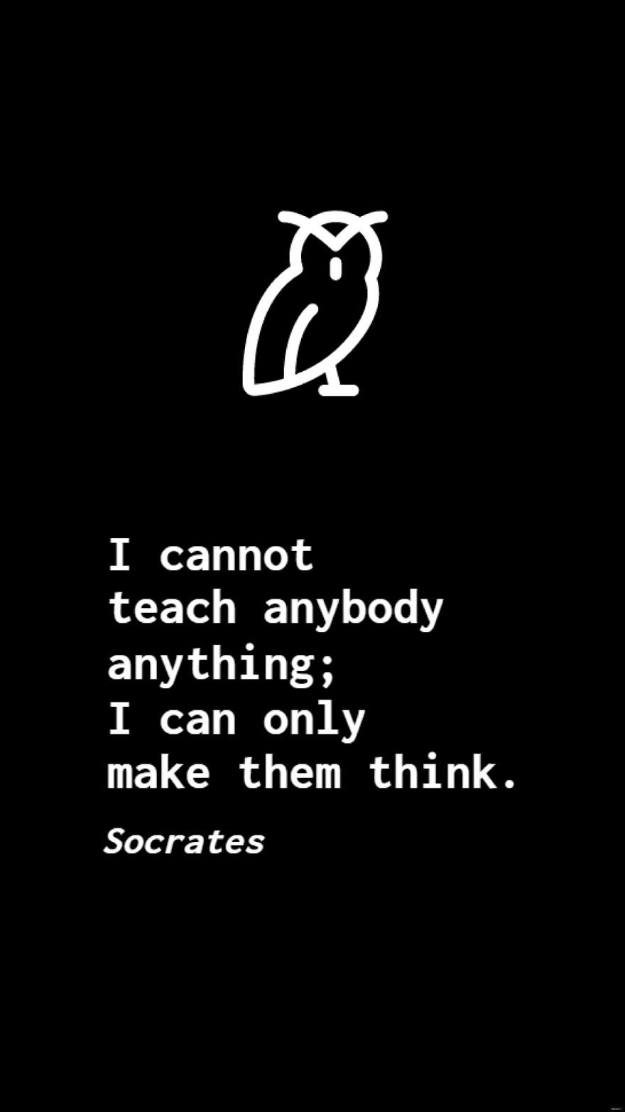 Socrates - I cannot teach anybody anything; I can only make them think. in JPG