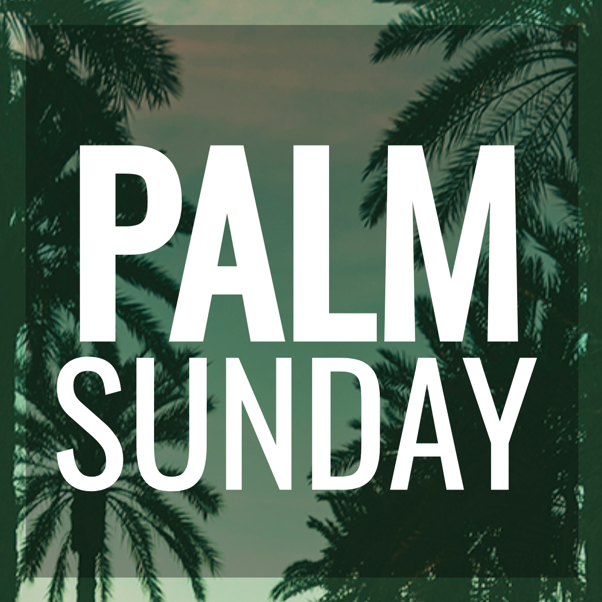 Palm Sunday YouTube Profile Photo Template