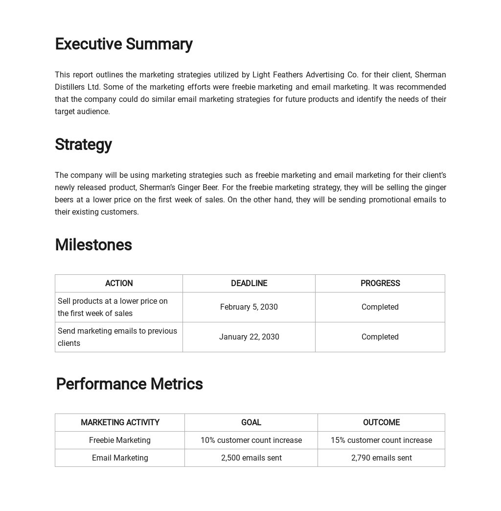 Email Marketing Report Template Word (DOC) Apple (MAC) Pages