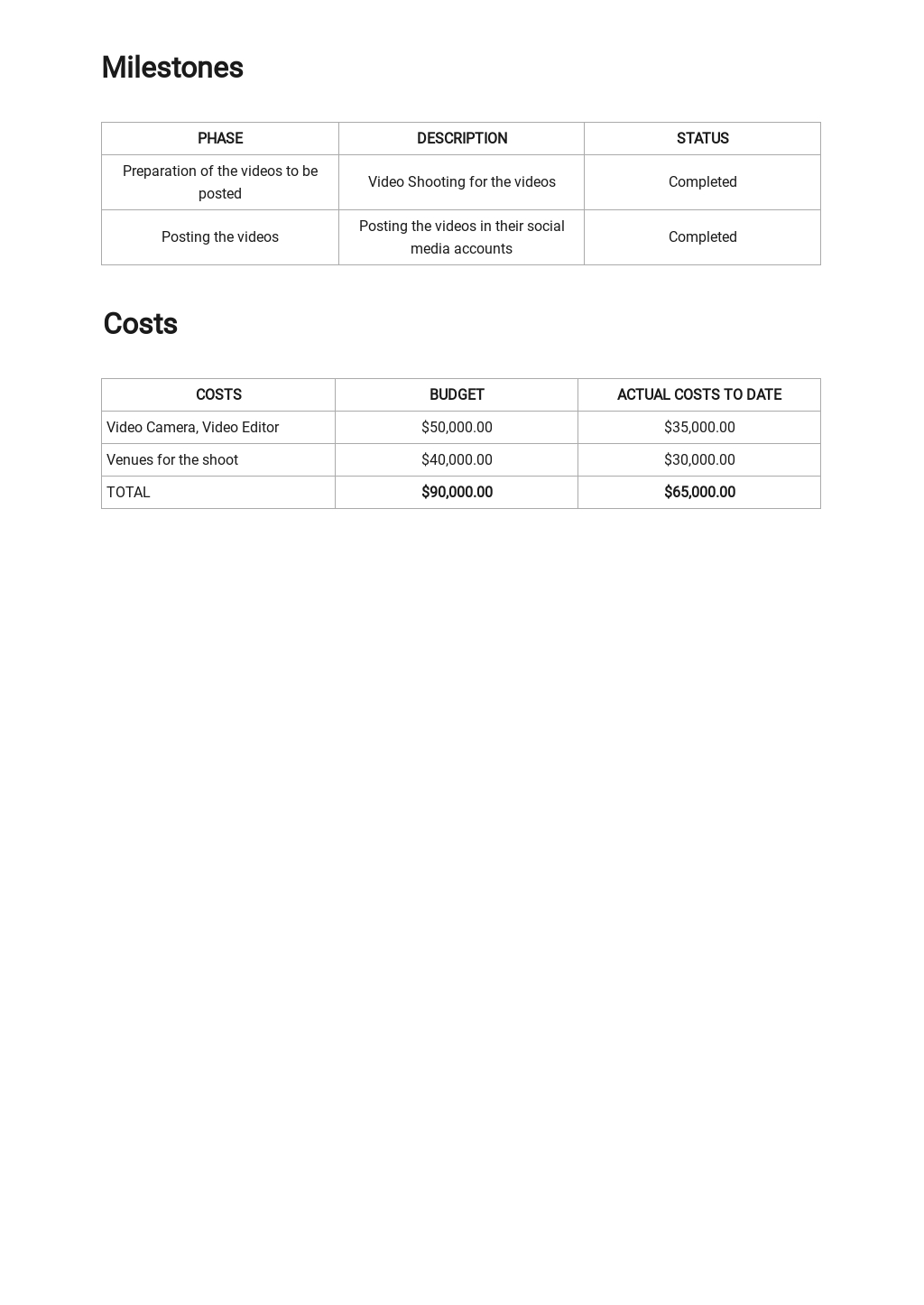 Social Media Report Template