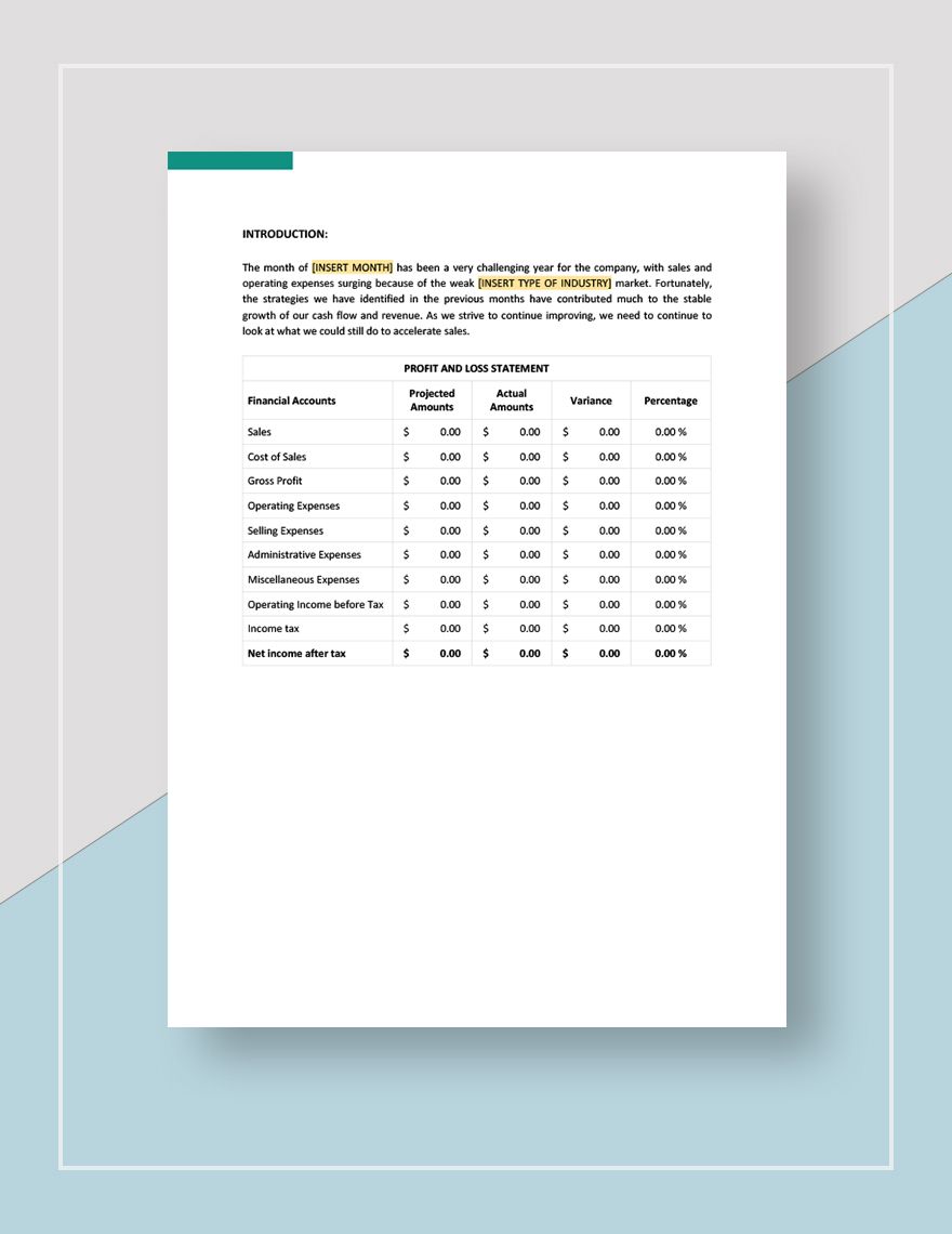 Monthly Financial Management Report Template