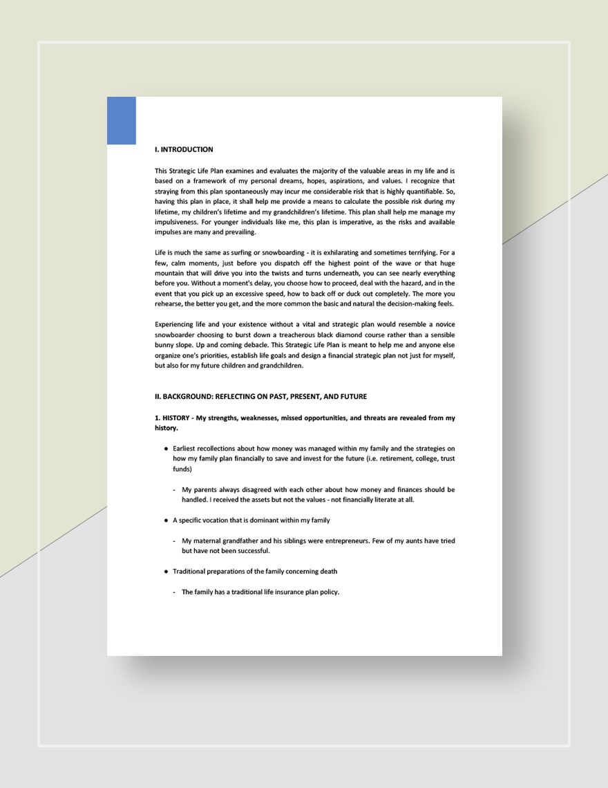 Strategic Life Plan Template Google Docs, Word, Apple Pages