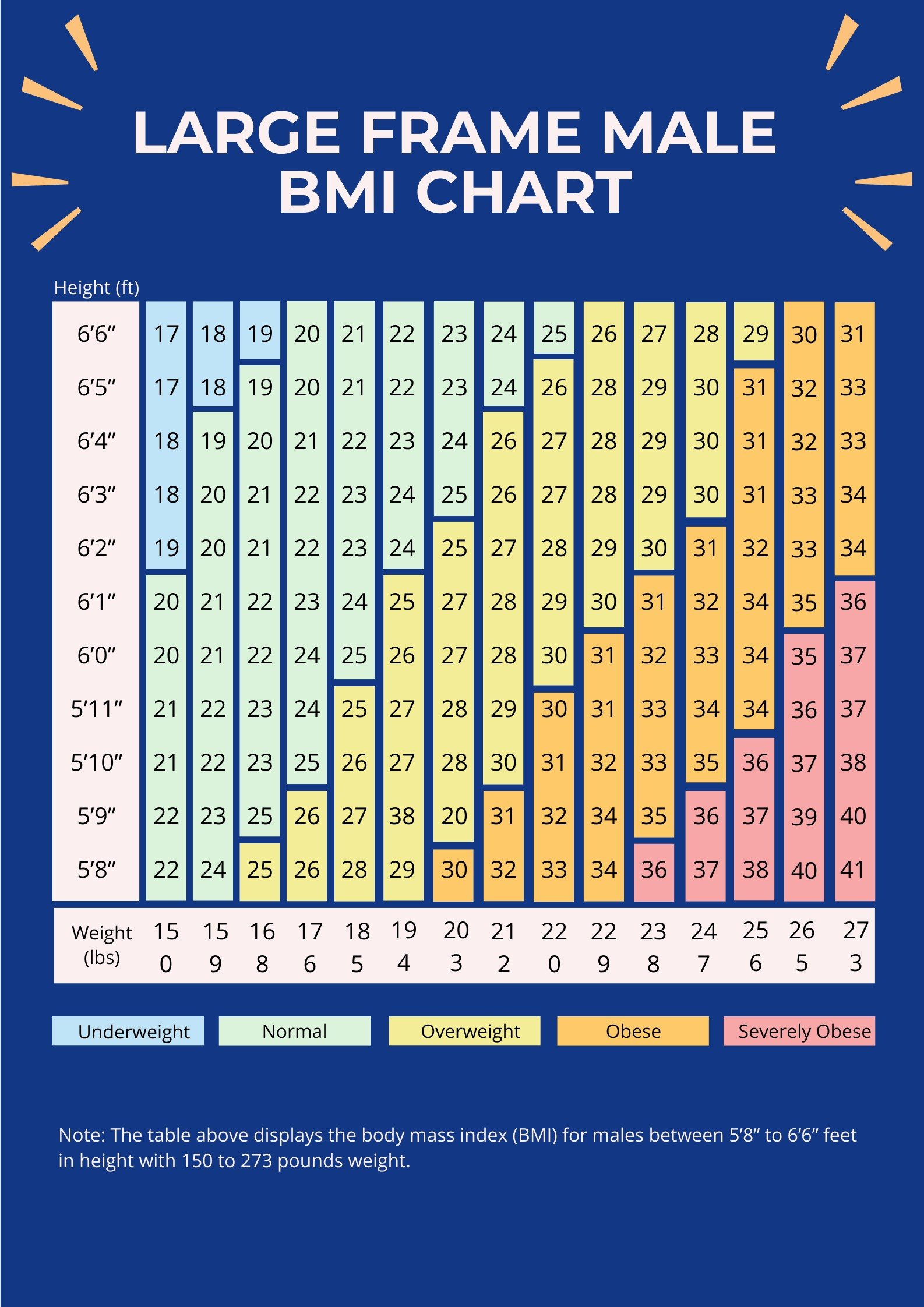 Free Large Frame Male BMI Chart in PDF, Illustrator