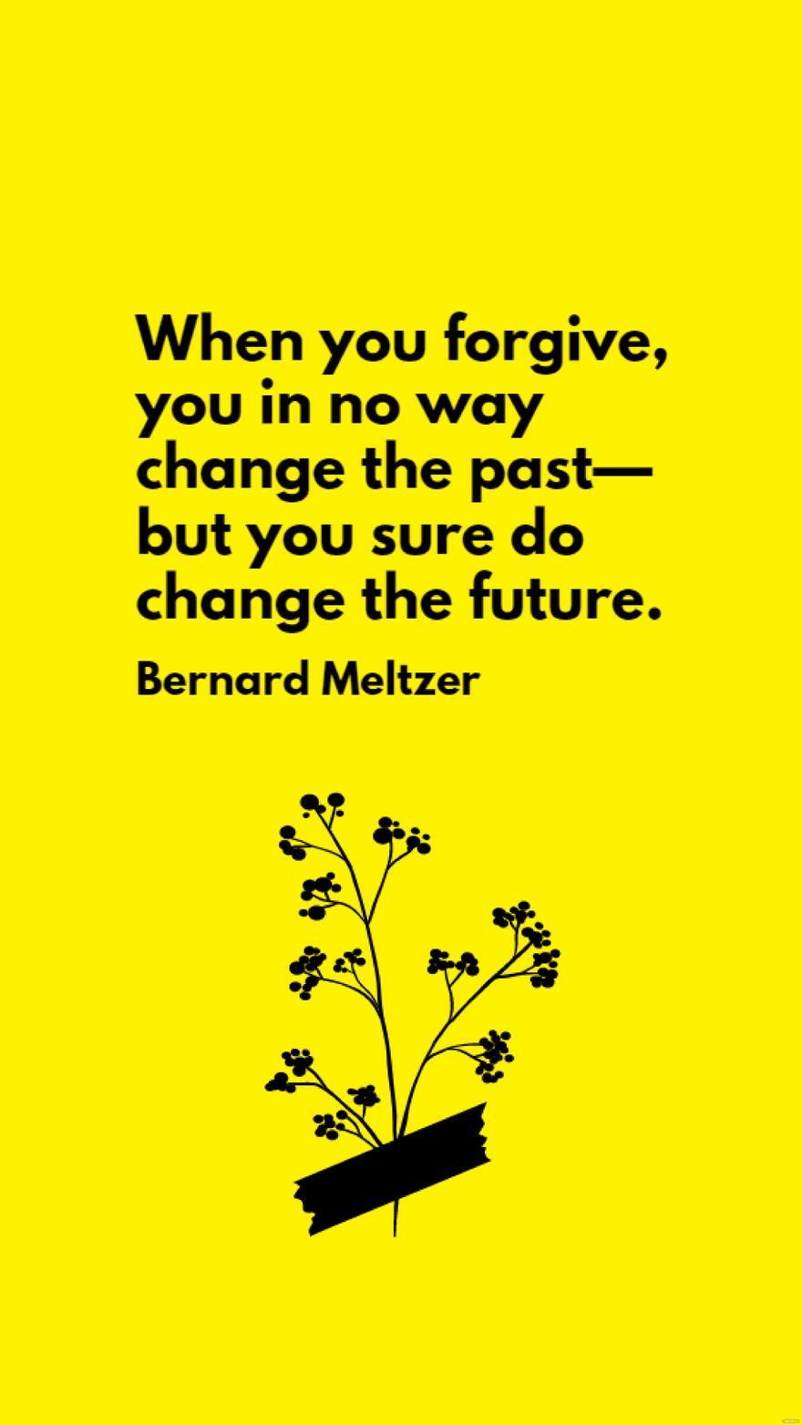 Bernard Meltzer - When you forgive, you in no way change the past - but you sure do change the future. in JPG