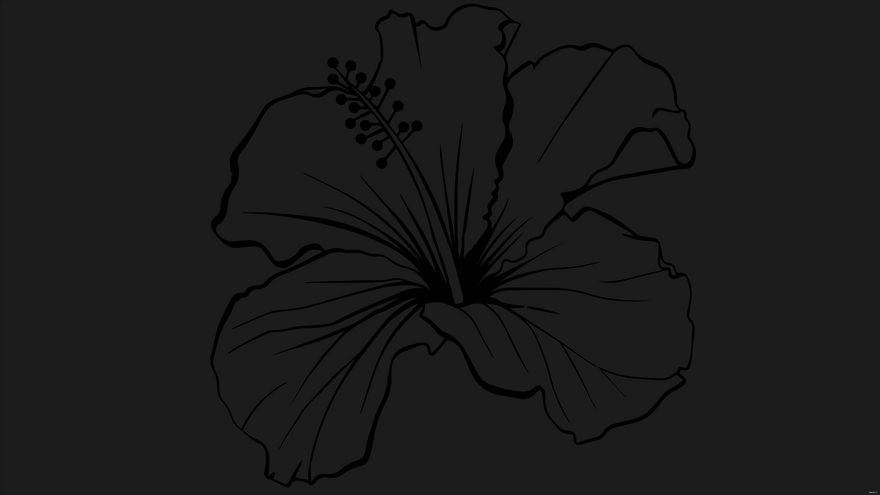 Dark Flower Background