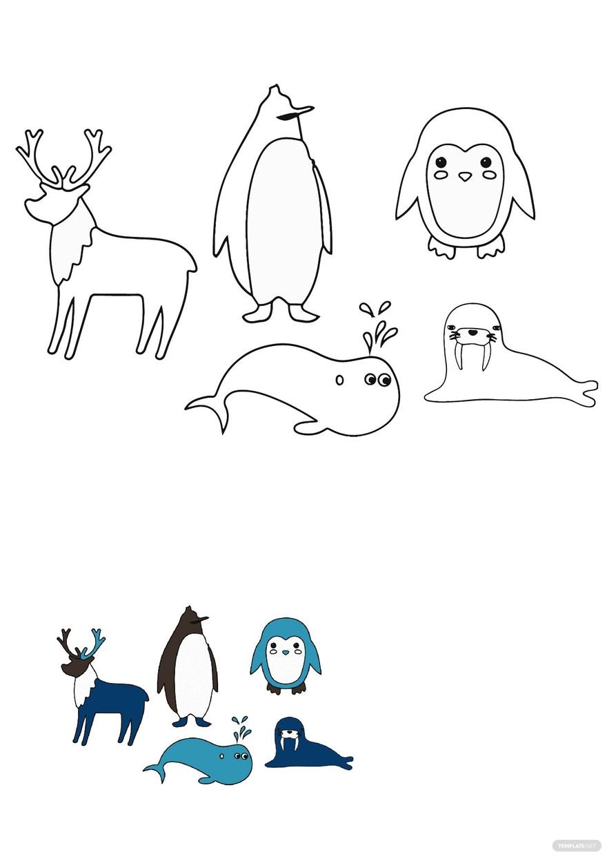 Arctic Animals Coloring Pages in PDF
