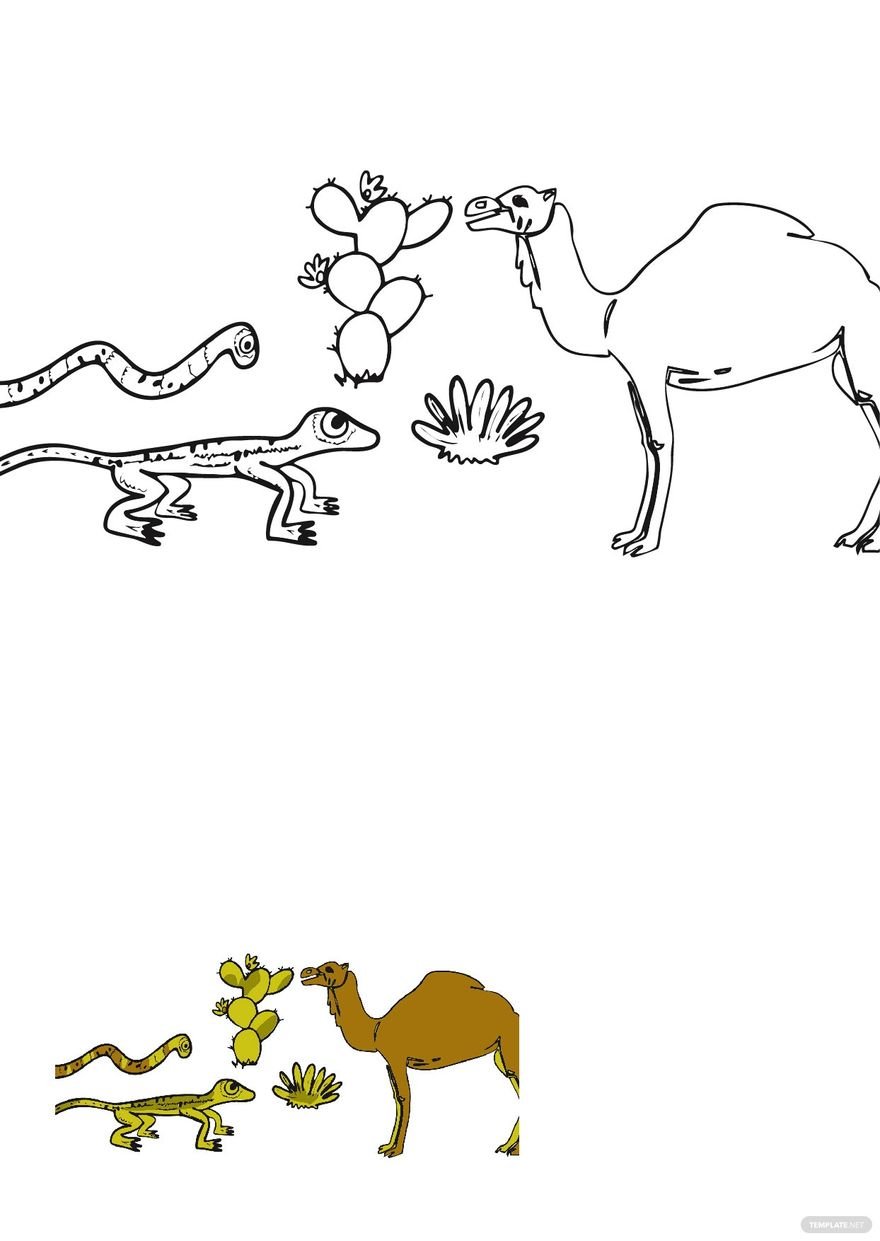 Desert Animals Coloring Pages Template