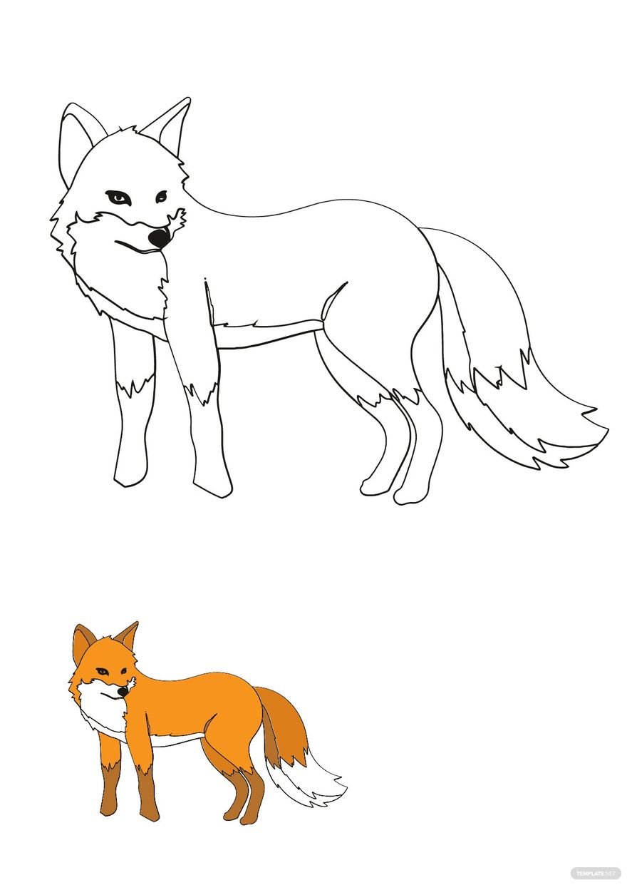 Fox Animal Coloring Pages Template