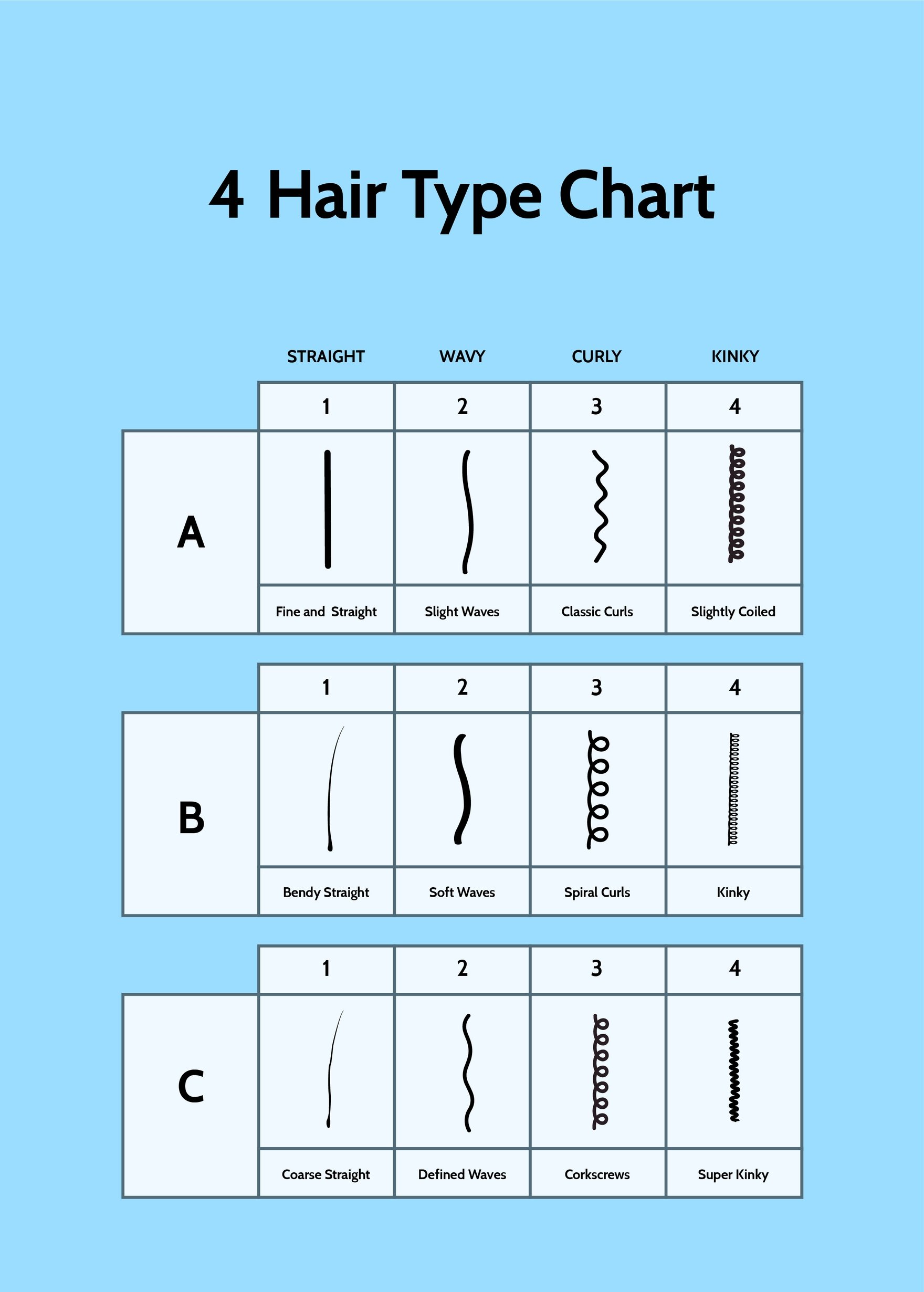 4 Hair Type Chart
