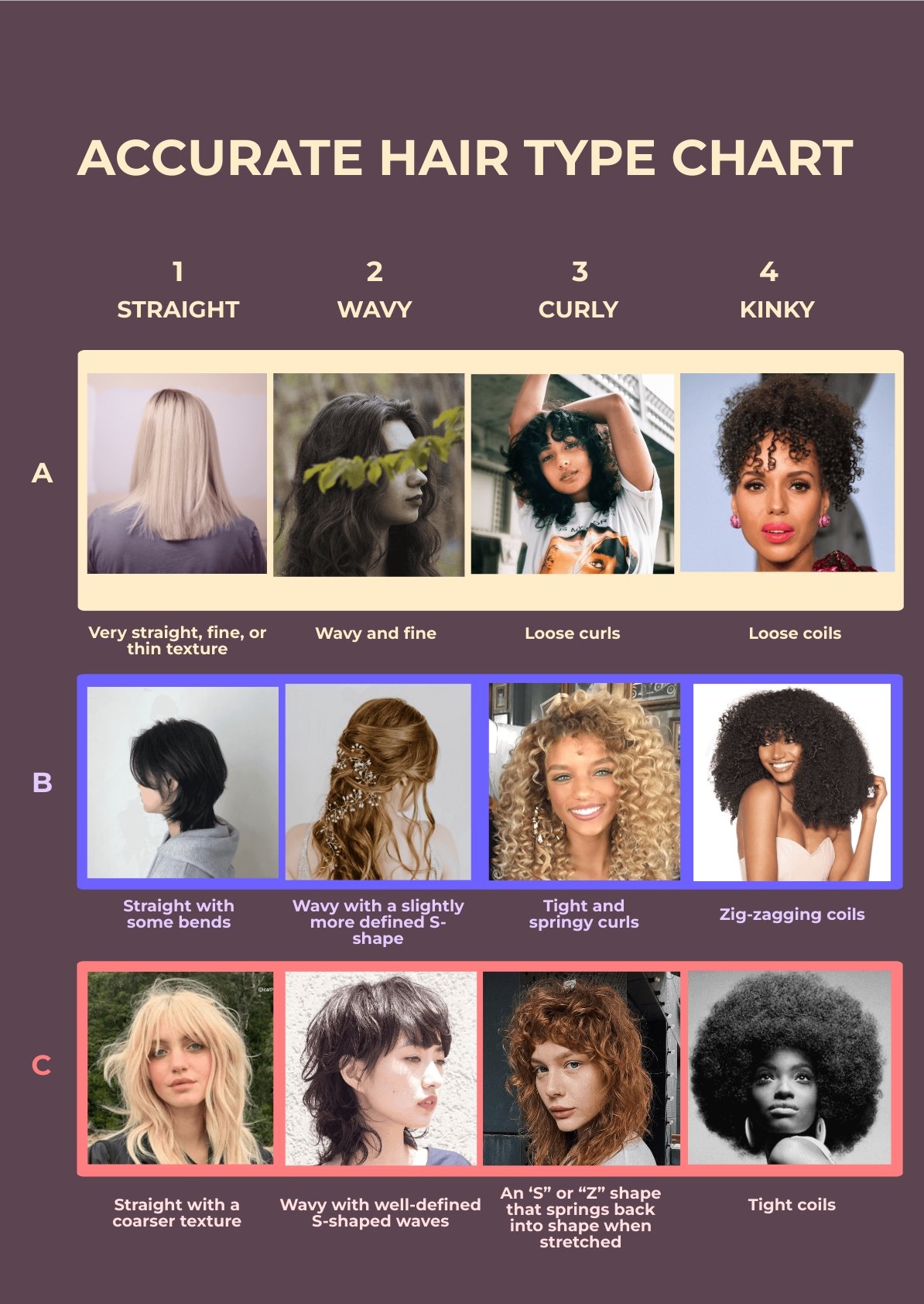 Accurate Hair Type Chart in PDF, Illustrator