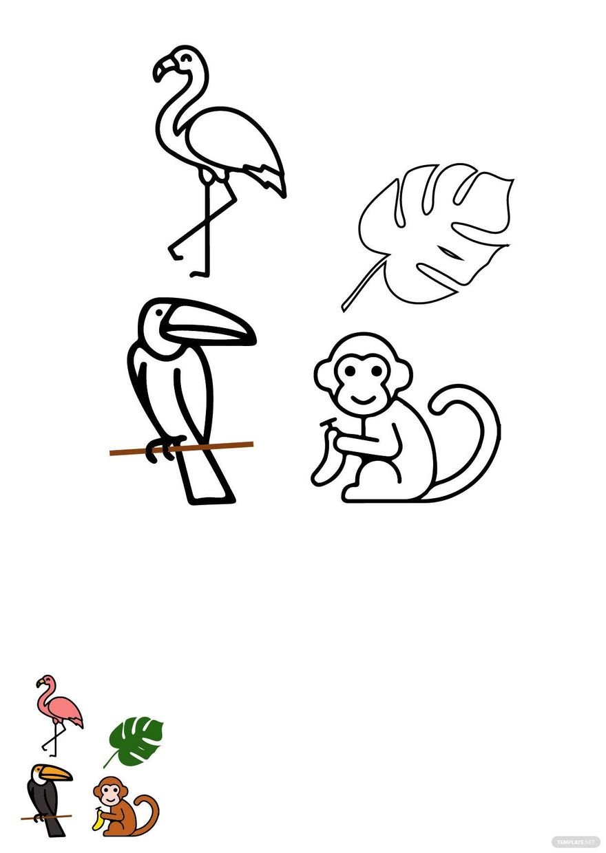 Tropical Animals Coloring Pages Template