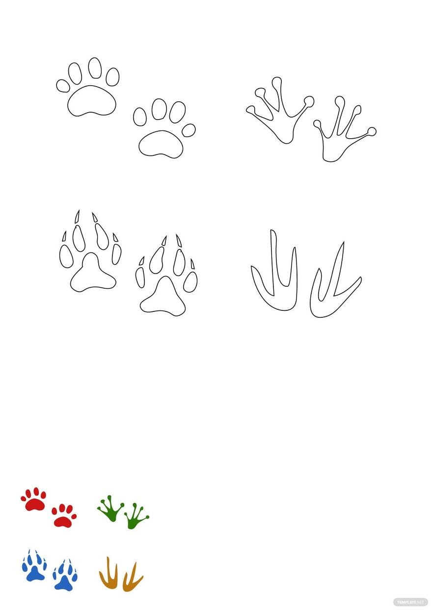 Animal Footprints Coloring Pages