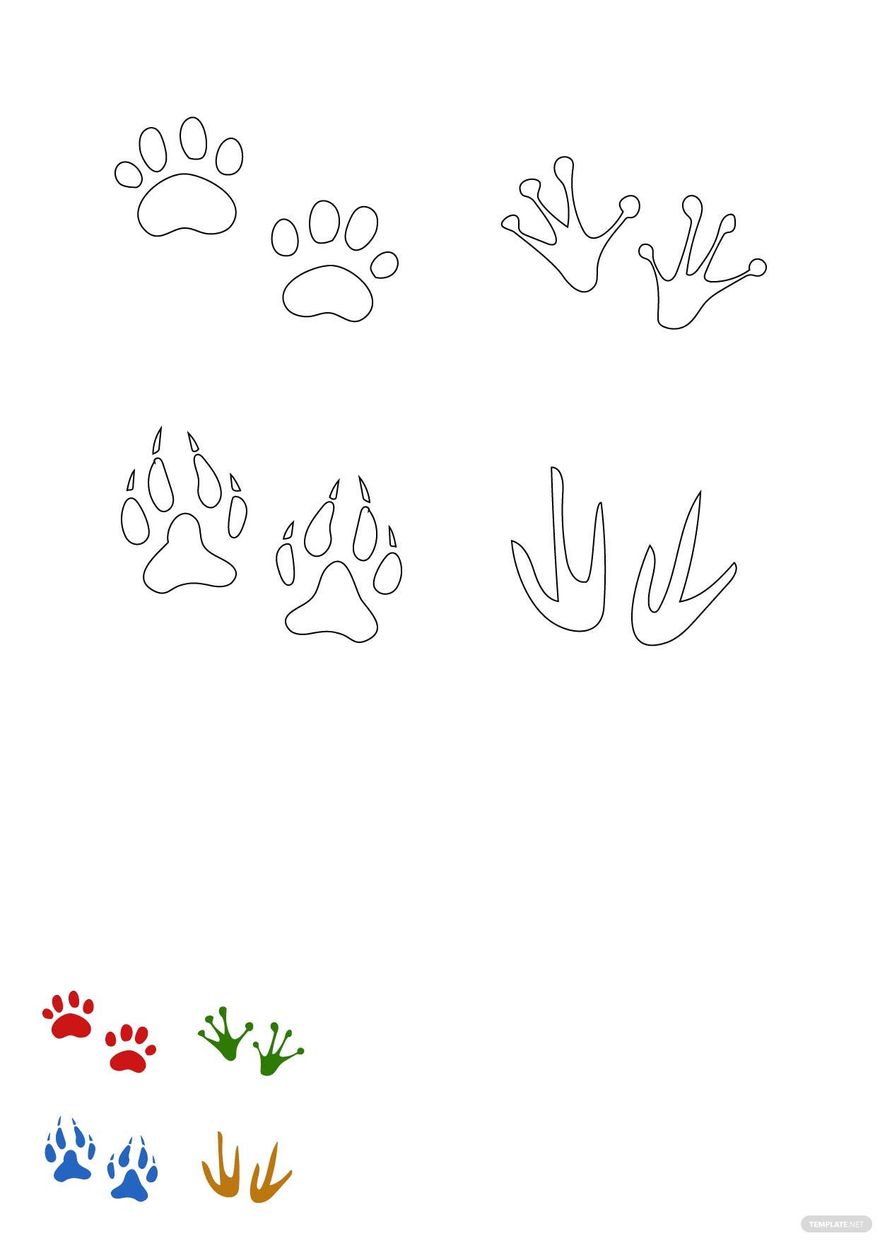 Animal Footprints Coloring Pages Template