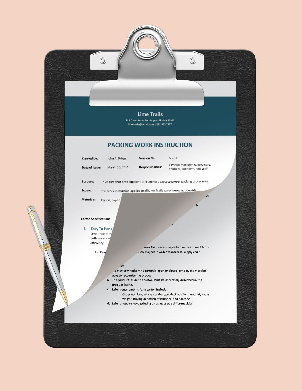Packing Work Instruction Template