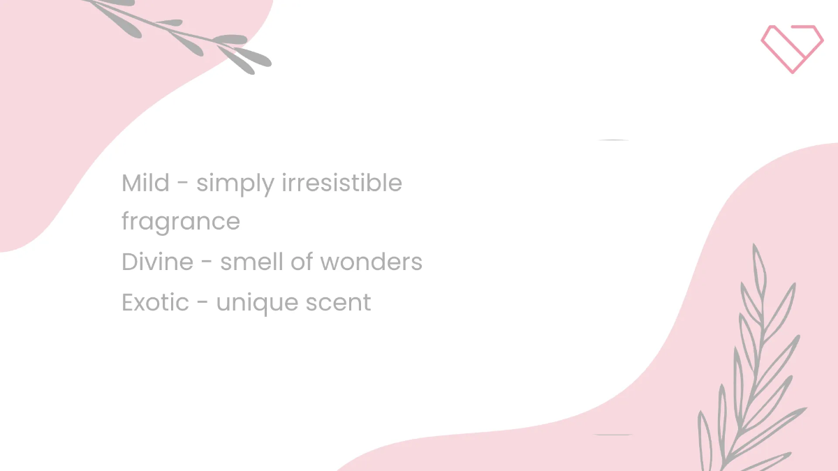 Free Commercial Advertisement Video Template to Edit Online