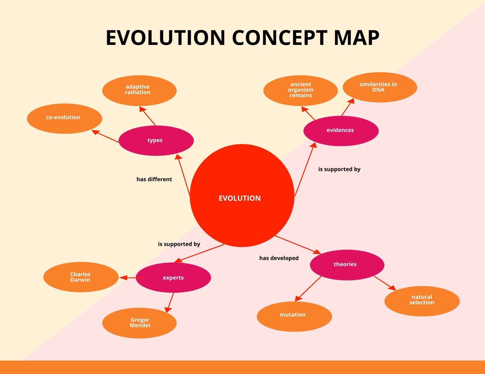 Evolution Concept Map Template in Word, Google Docs