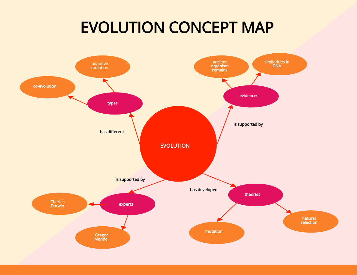 Free Evolution Concept Map Template