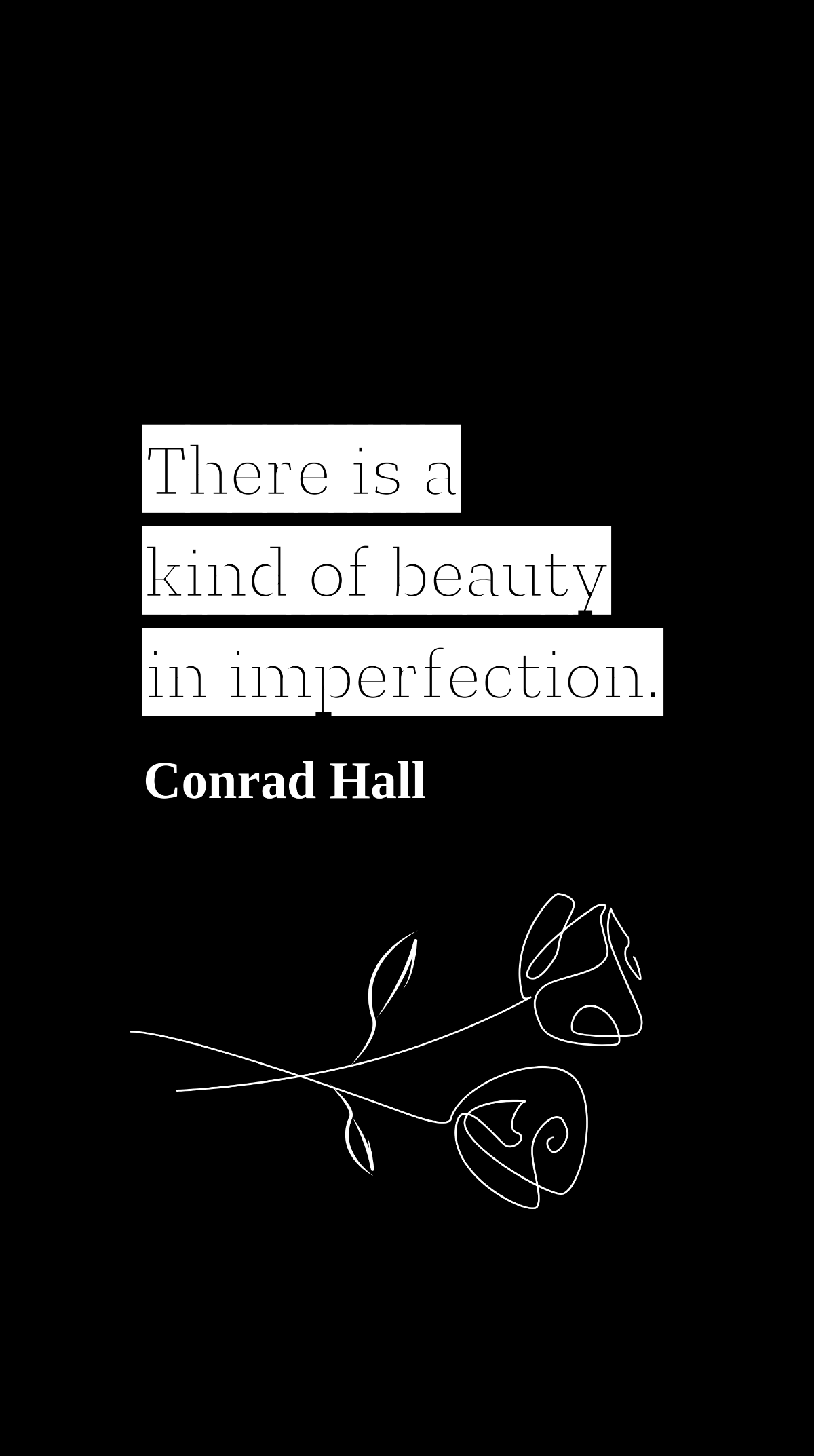 Conrad Hall - There is a kind of beauty in imperfection.