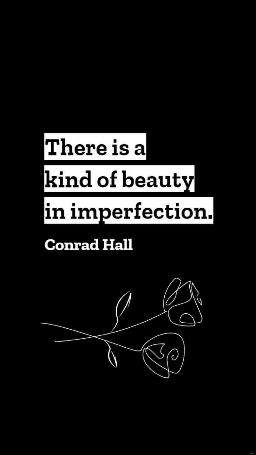 Conrad Hall - There is a kind of beauty in imperfection. in JPG
