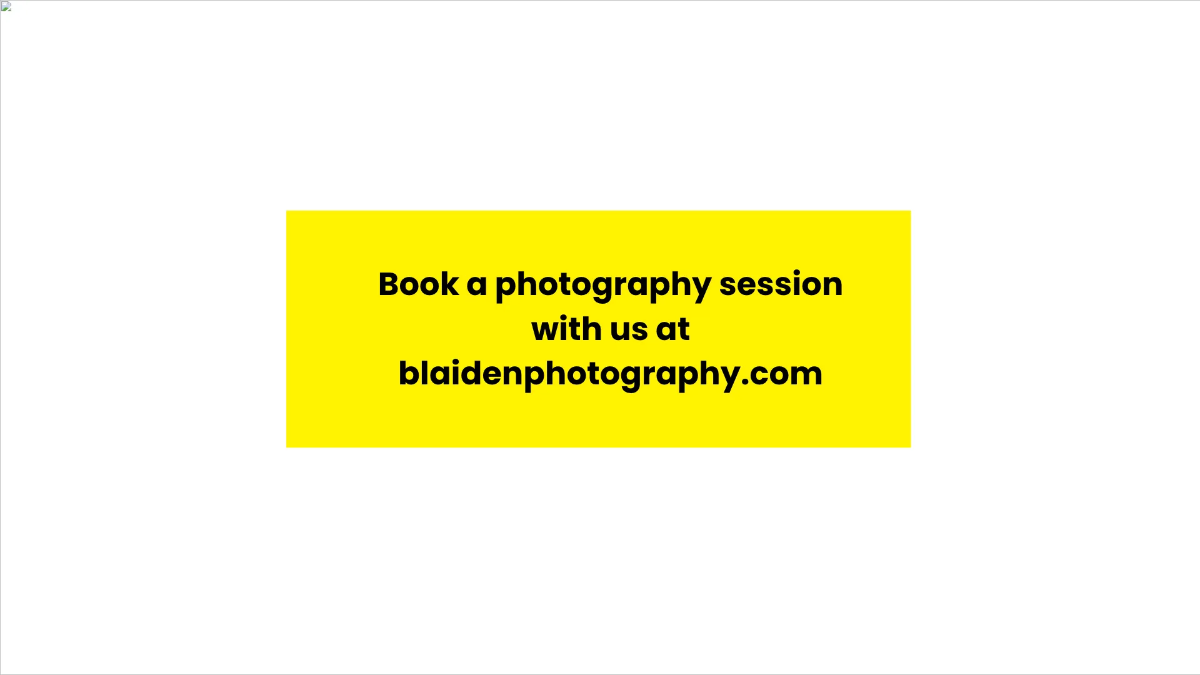 Free Photography Advertising Video Template to Edit Online