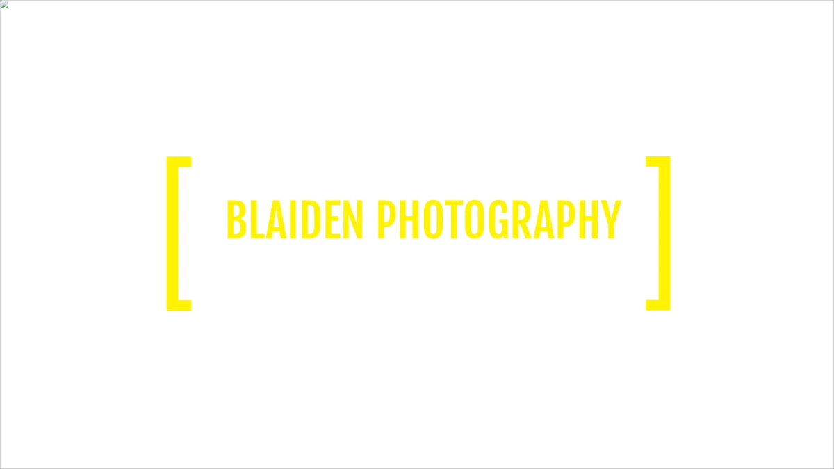 Free Photography Advertising Video Template to Edit Online