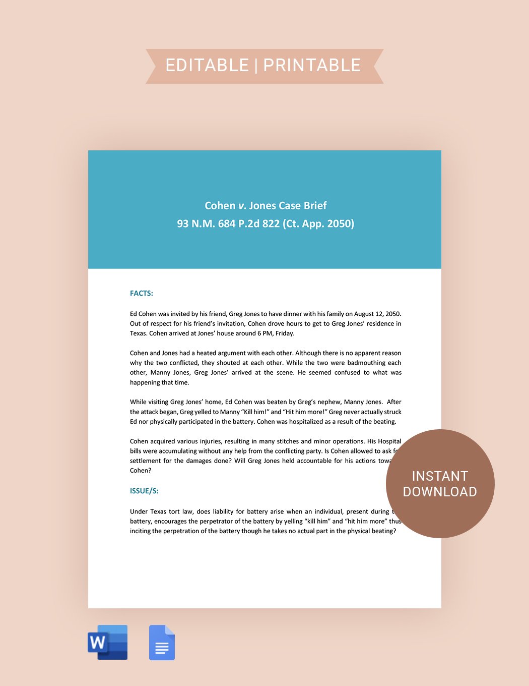 Law Student Case Brief Summary Sheet Template in Word Google Docs