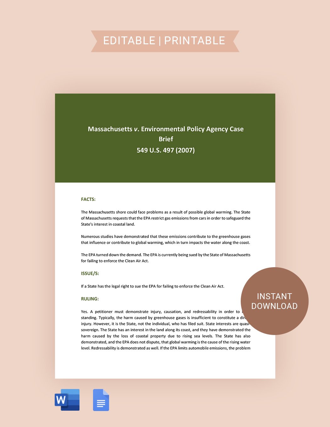 Legal Case Brief Template in Word, Google Docs