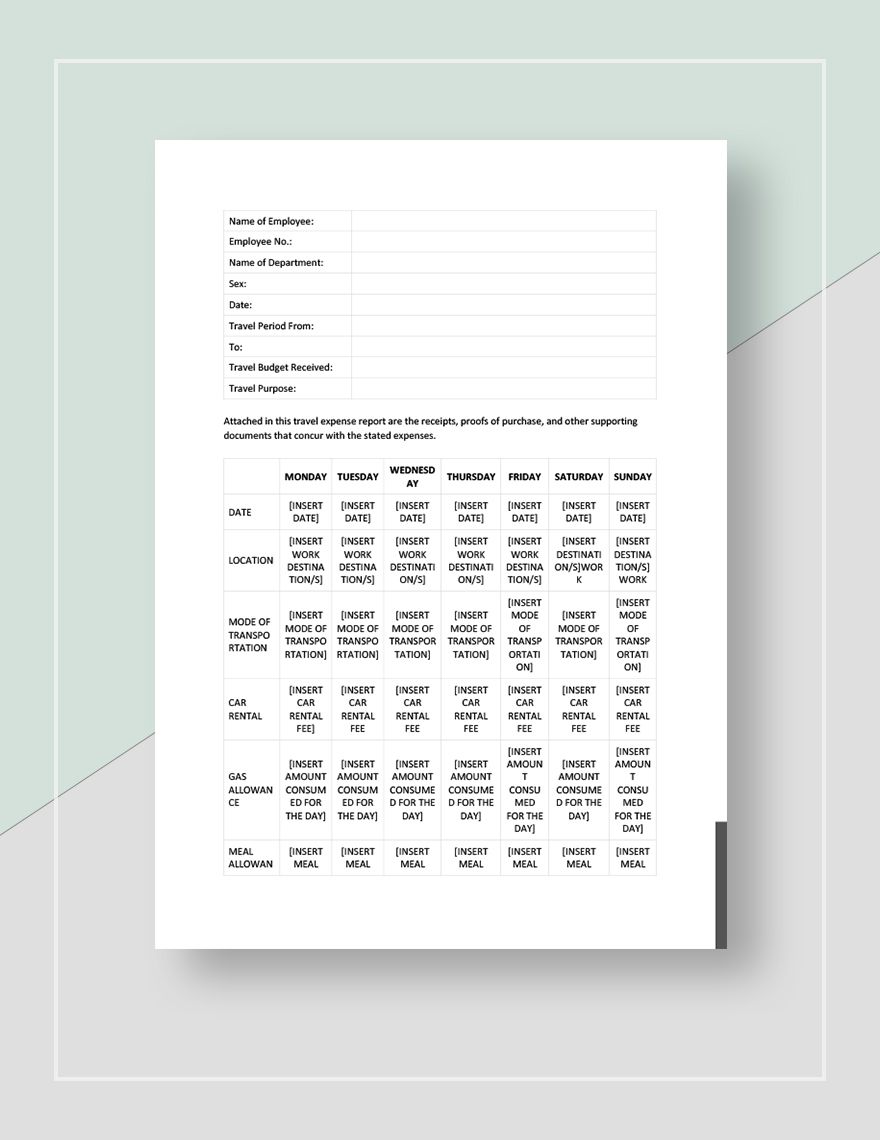 Trip Expense Report Template