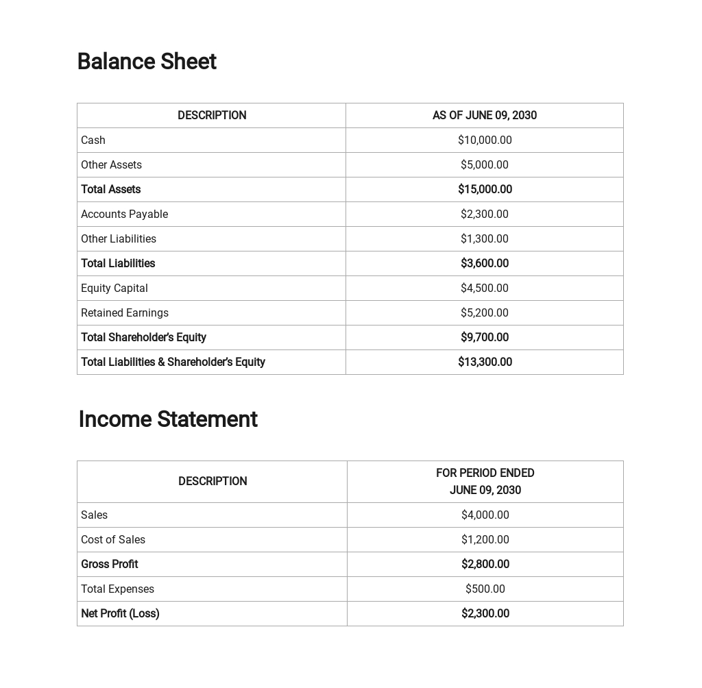 Non Profit Treasurer Report Template